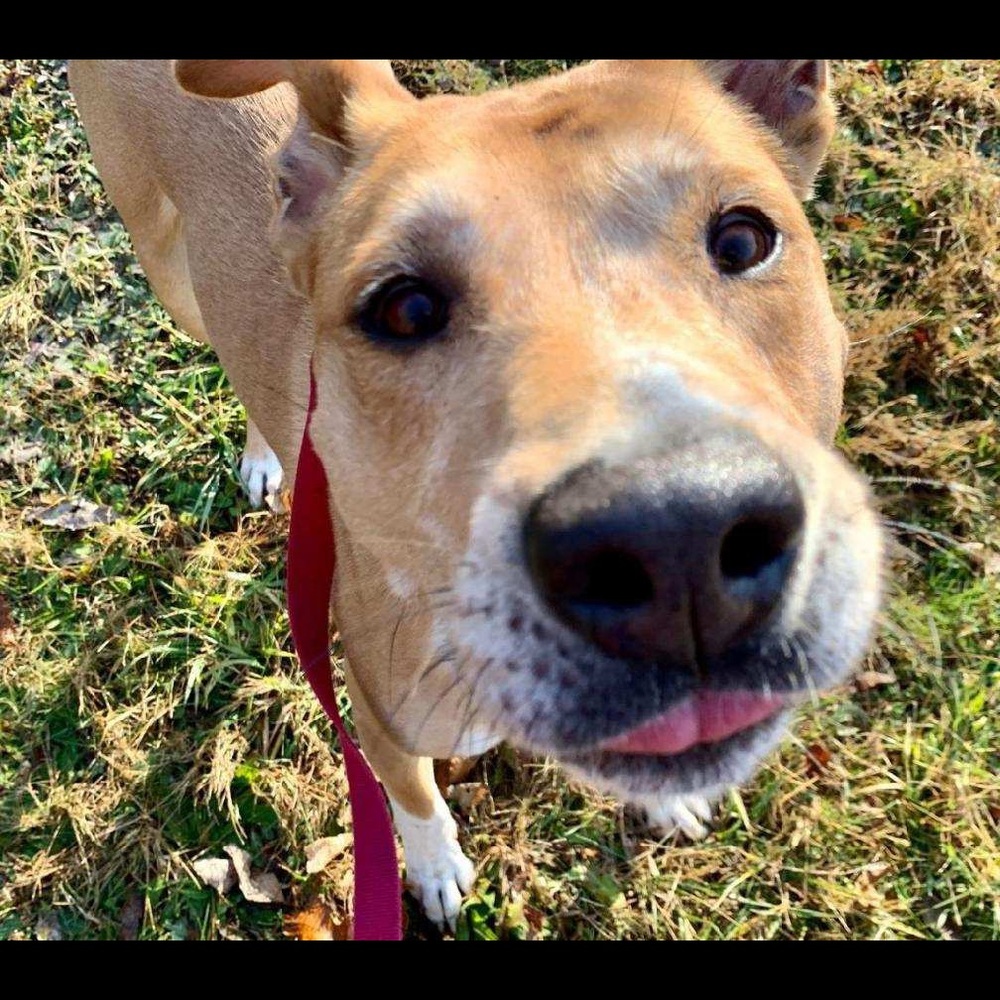 Meet your Posher, Crystal